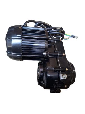 Motor 2000W 60V pentru triciclu electric cargo – Cu reductor si diferential